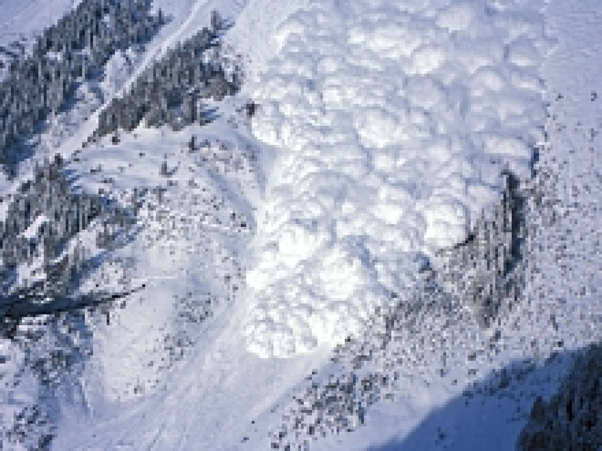 Cool calculation to lower avalanche risk - SWI swissinfo.ch
