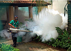 someone spraying pesticides