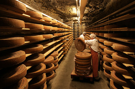 Prateleira com queijos em um porão