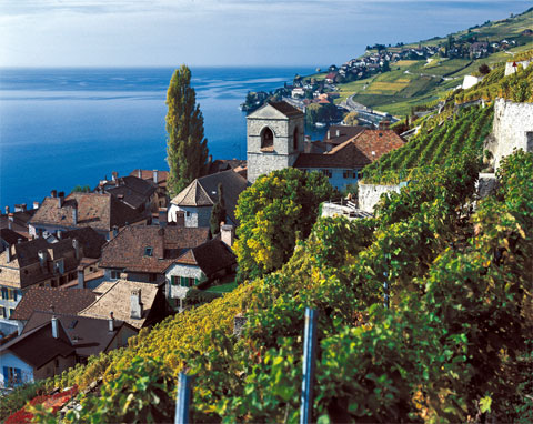 Il villaggio pittoresco di Saint-Saphorin con le sue case medievali e la chiesa risalente al XVI secolo.