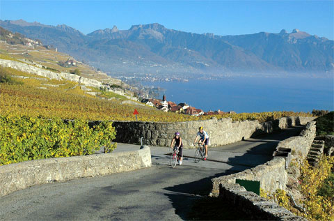 La regione del Lavaux, che si estende su una superficie di 800 ettari di terreno