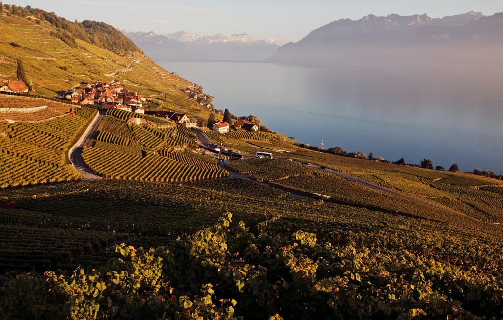 Lo stupendo paesaggio del Lavaux, situato tra Losanna e Vevey