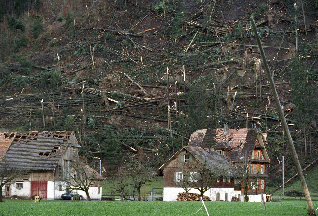 Sturmschäden am Wald