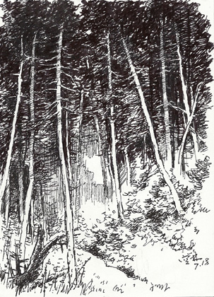 小树林