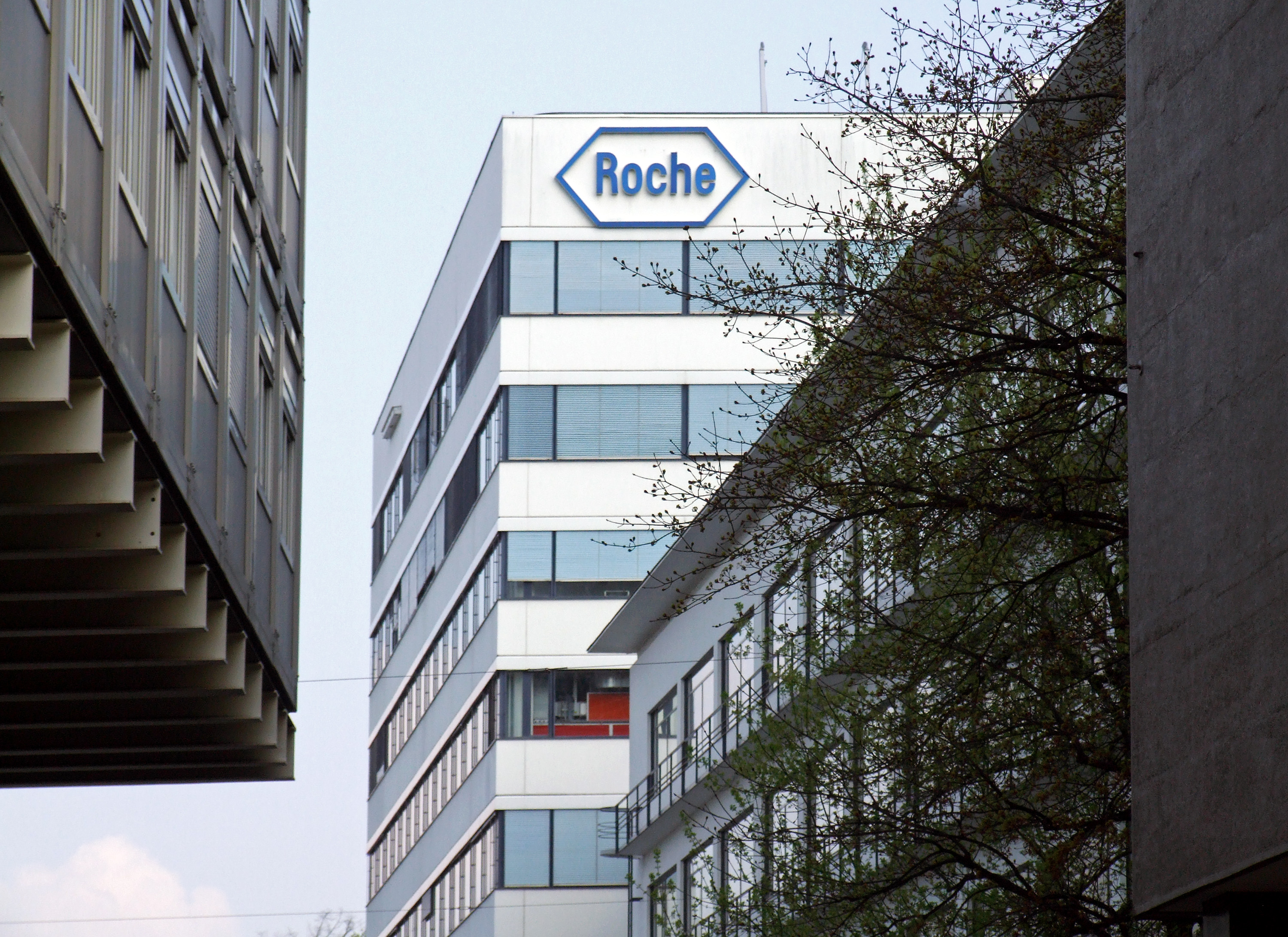 K Roche Roche looks to personal future - SWI swissinfo.ch