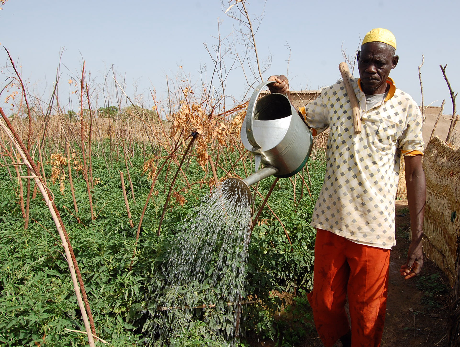 Un Herbicide De Syngenta Dans La Mire Du Burkina Faso SWI Swissinfo ch un-herbicide-de-syngenta-dans-la-mire-du-burkina-faso-swi-swissinfo-ch