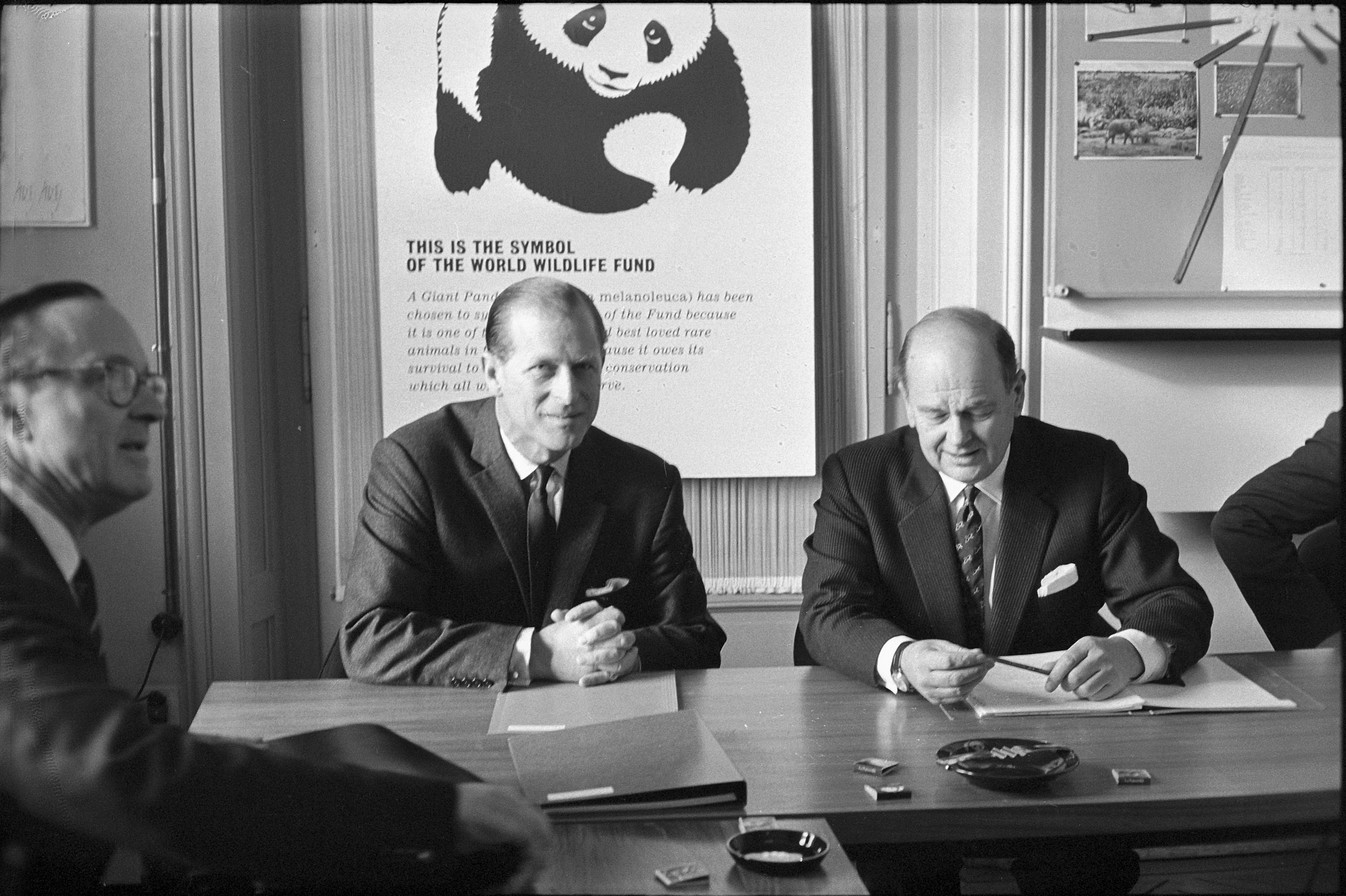 50 years of WWF - SWI swissinfo.ch