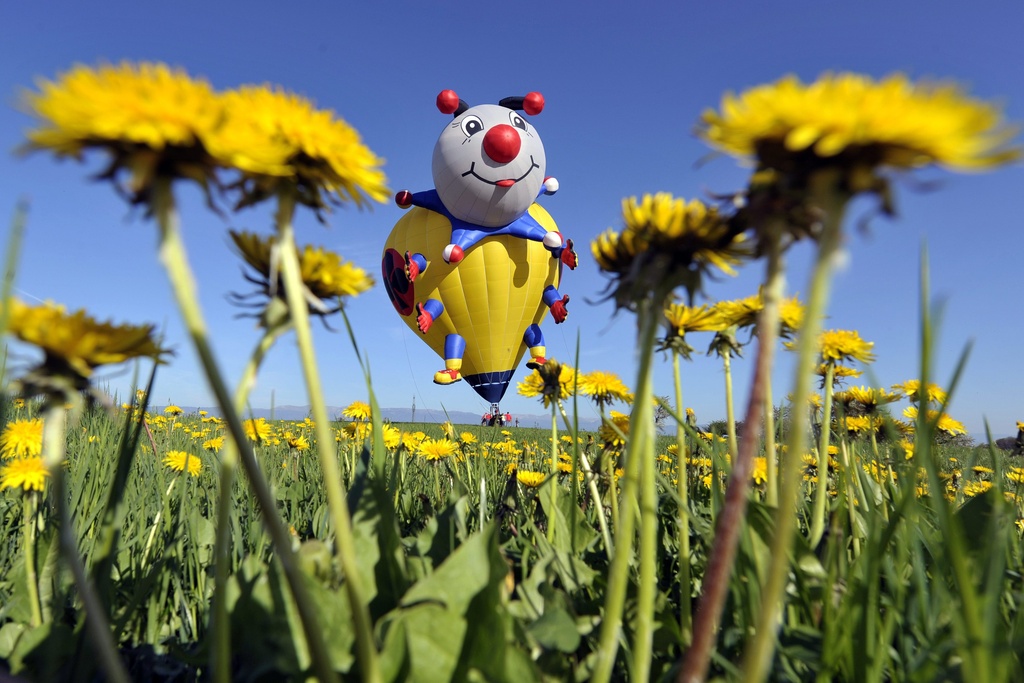 منطاد بشكل عجيب