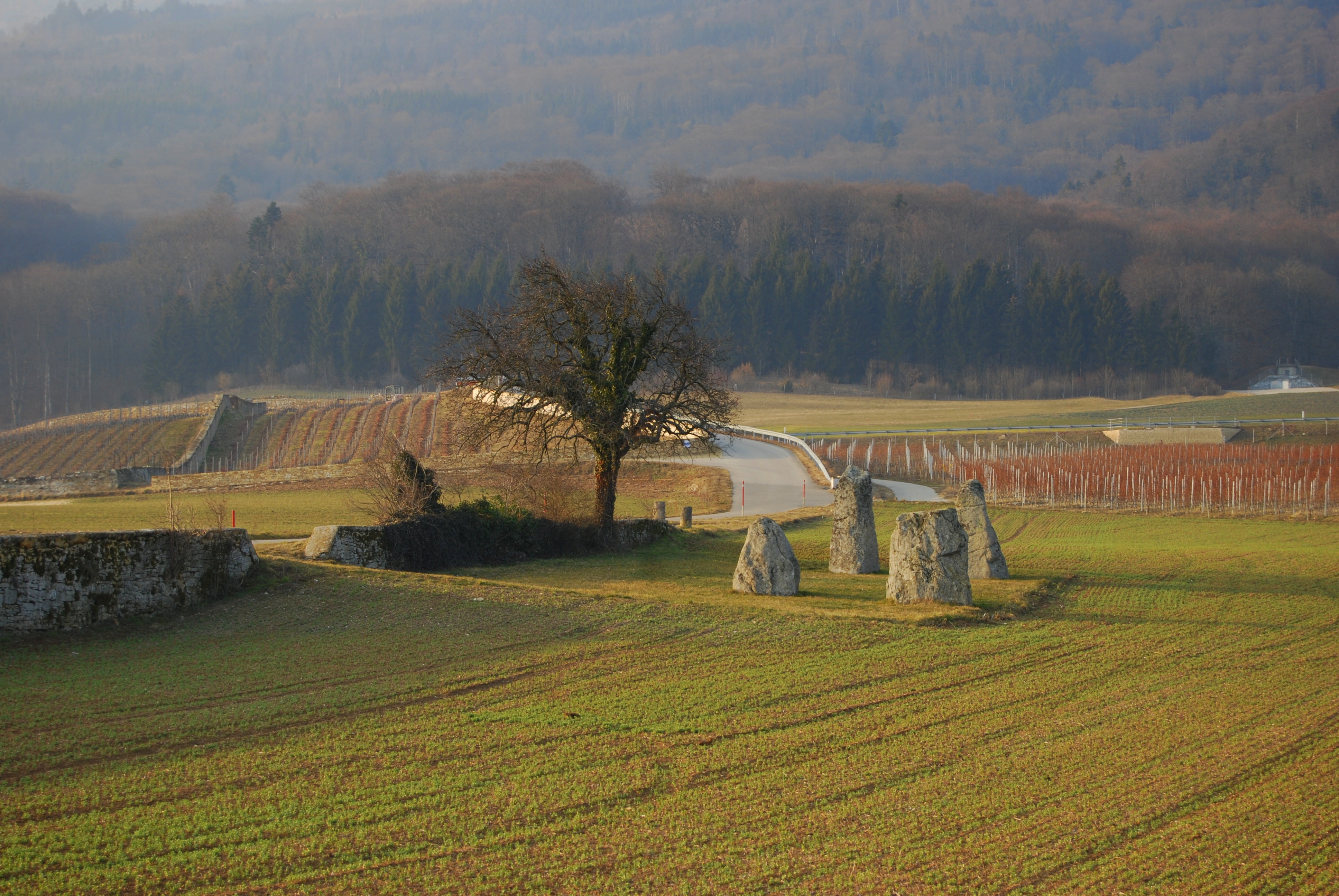 Romandy Region Lieux extraordinaires en Romandie - SWI swissinfo.ch