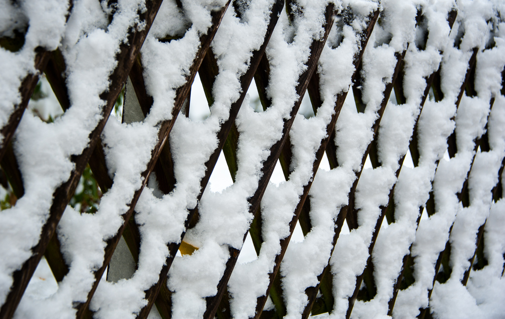 秋雪