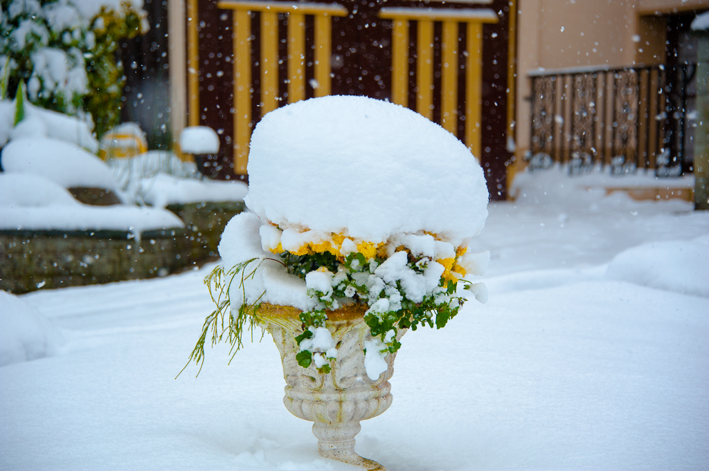 秋雪