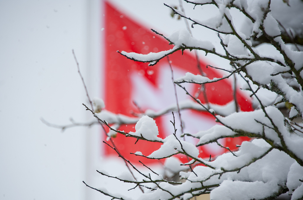 秋雪