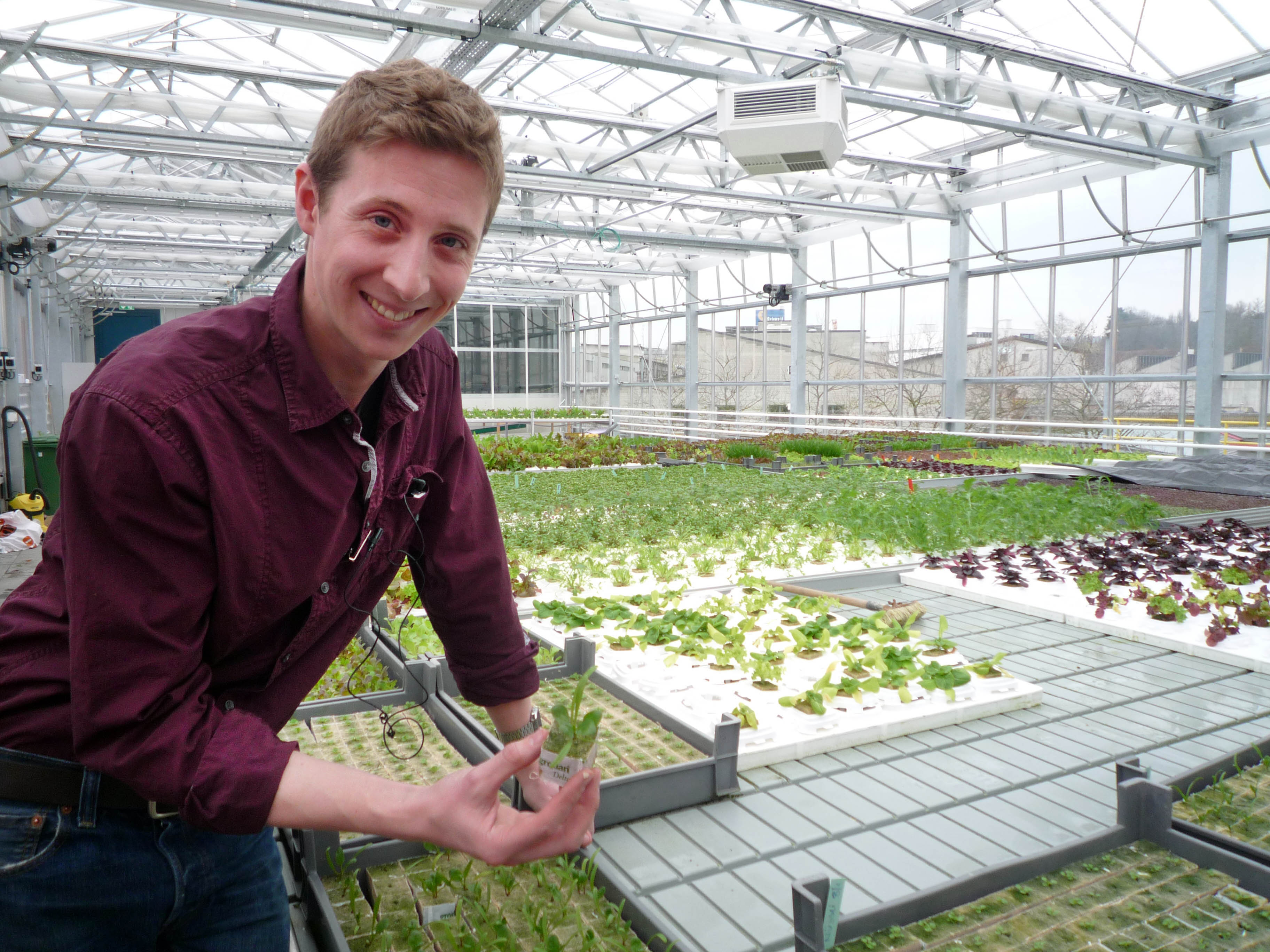 Bassel Fish Fresh fish and veg farmed on a Basel rooftop - SWI swissinfo.ch