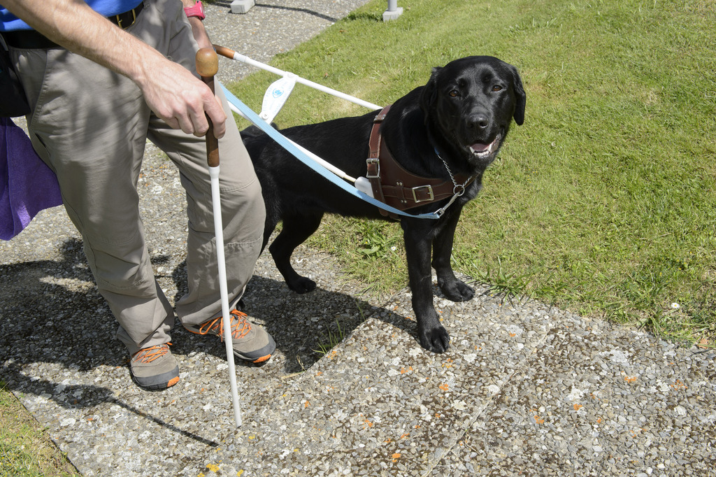 An uphill struggle: the disabled in Switzerland