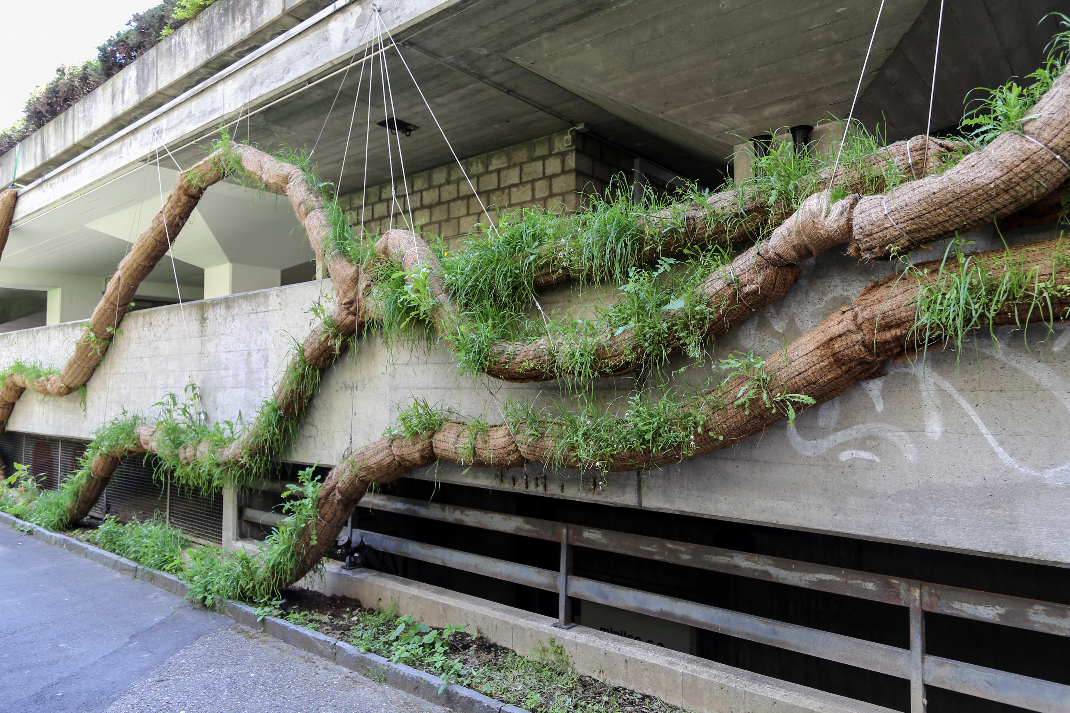 Rolling Garden