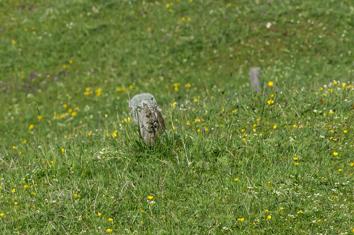 A plot marker