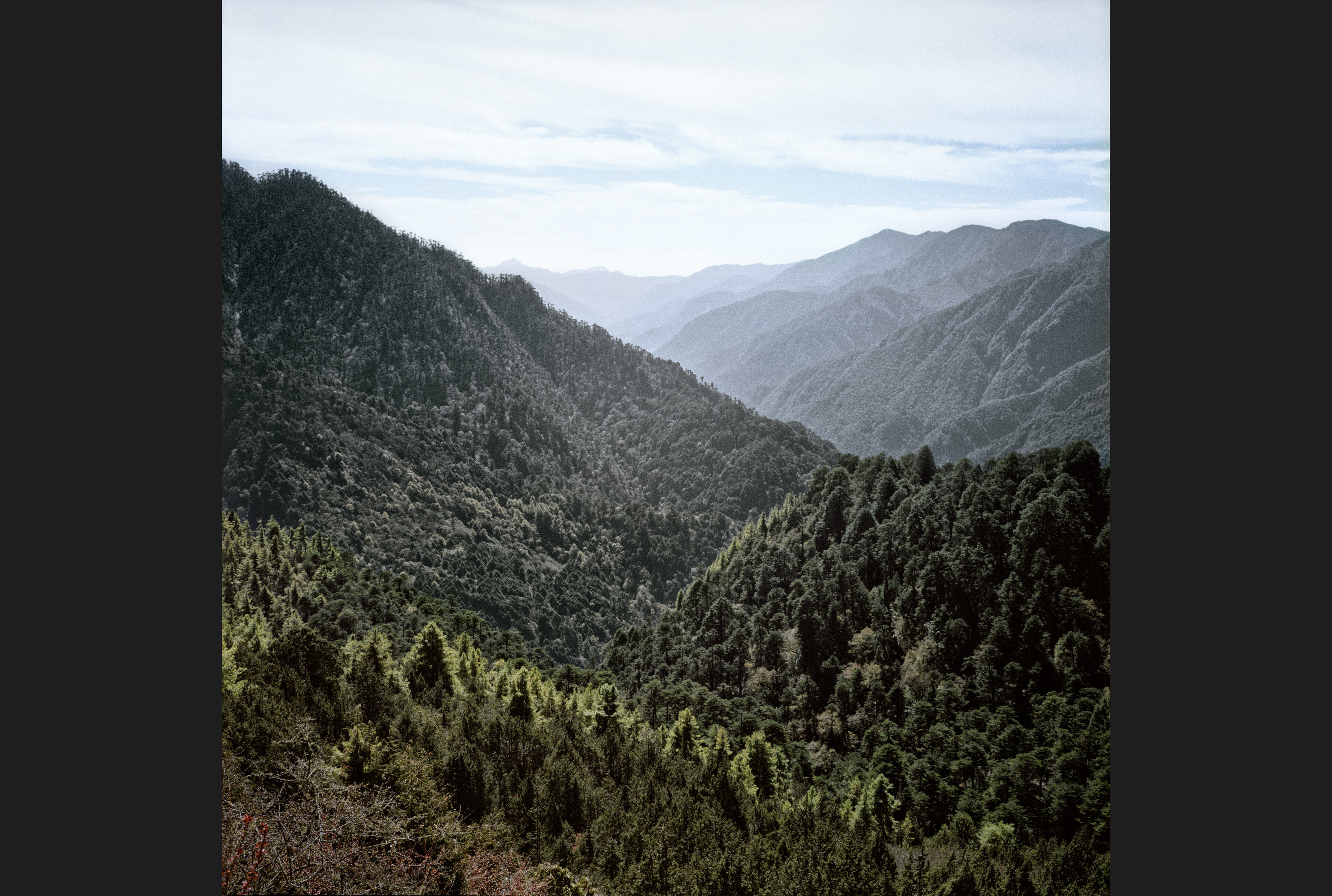 BHUTAN_13