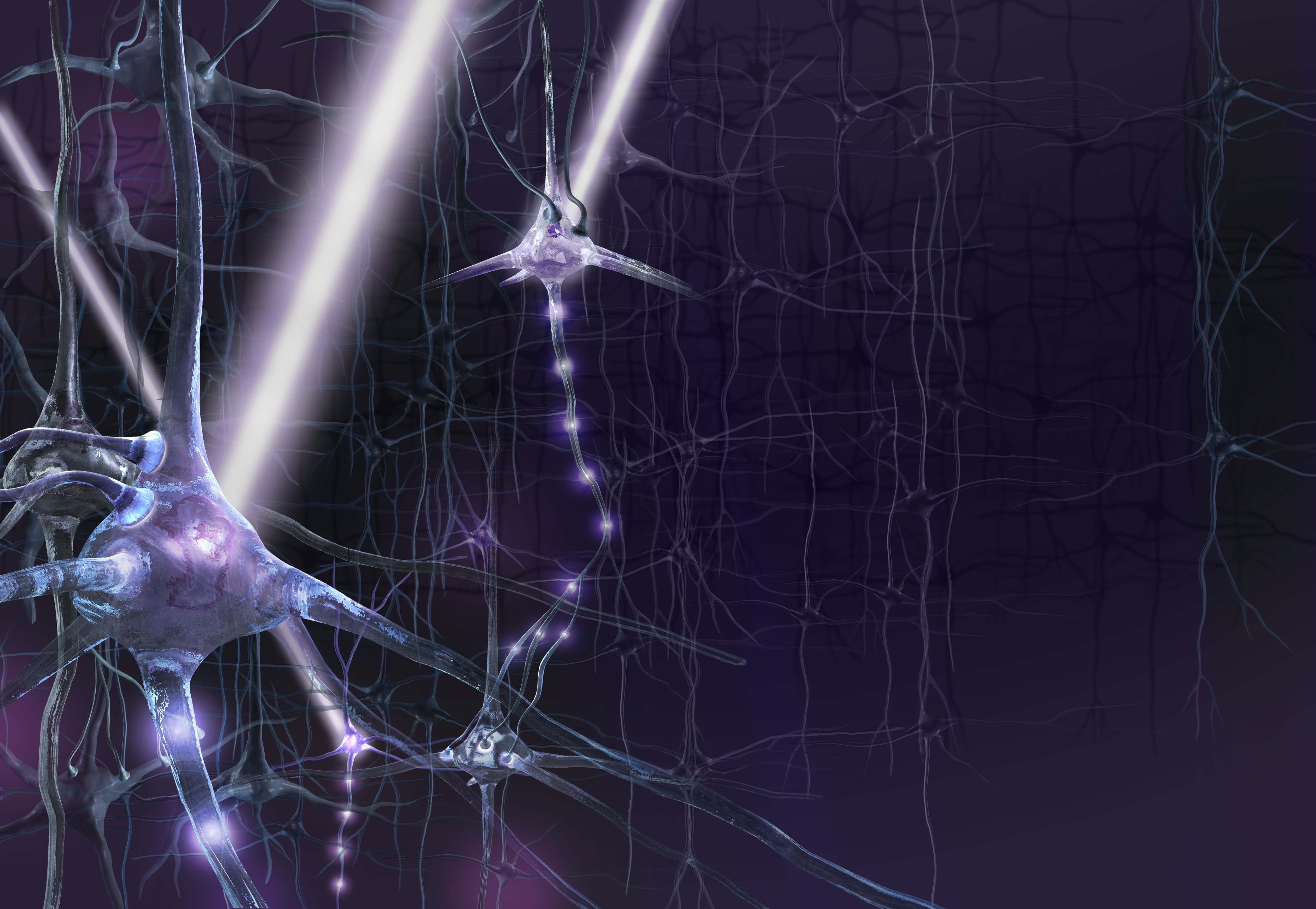 The activity of neurons can be controlled using pulses of laser light delivered into the brain with an optical fibre