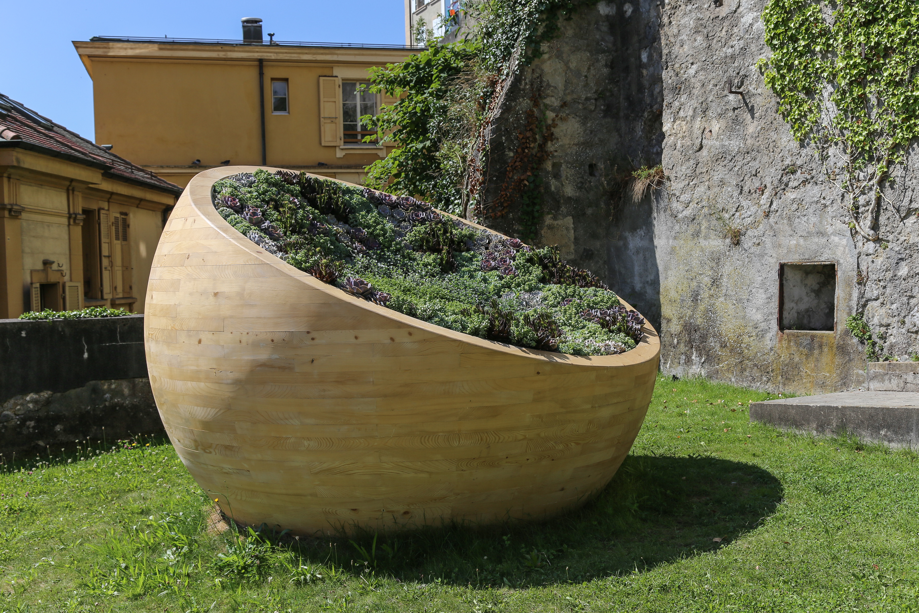 Tohu Bohu