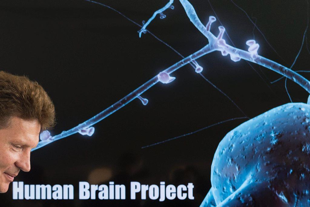 Europe’s brain project is ‘back on track’ - SWI swissinfo.ch