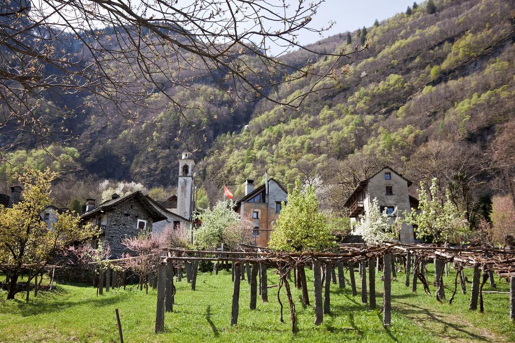 Small hamlet of stone houses, behind vineyard