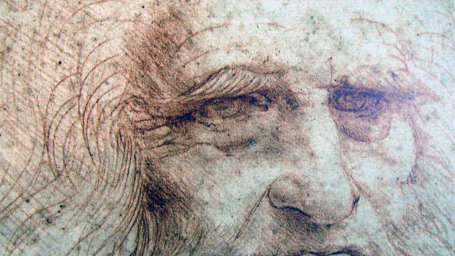 Self-portrait Leonardo Da Vinci