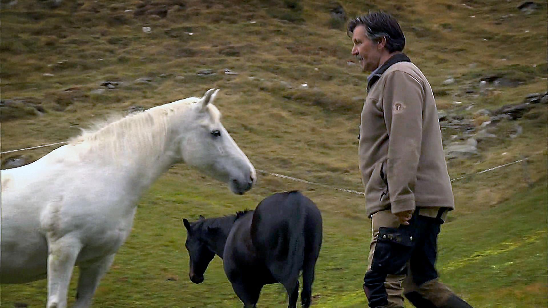 Farmer with horses