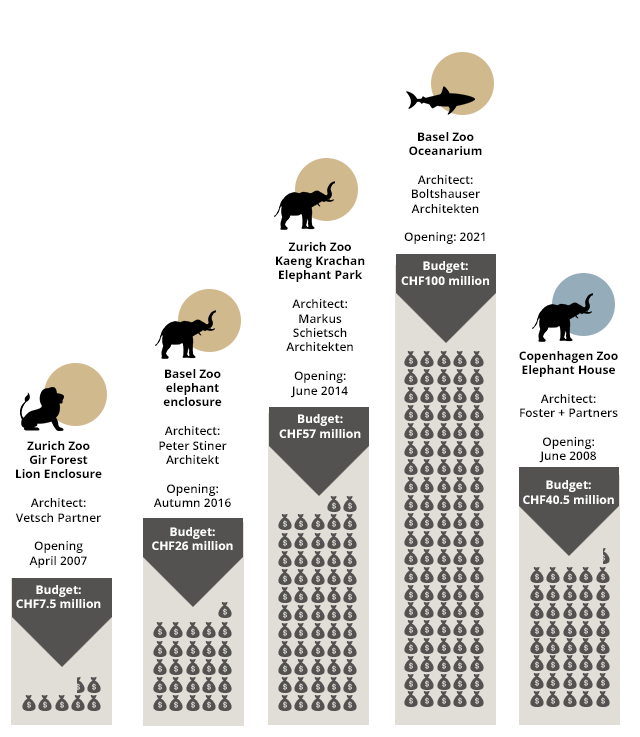 Swiss architects go wild over zoo design - SWI swissinfo.ch