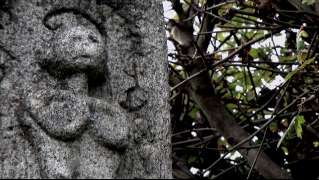 Quando Iniziano Ad Allungarsi Le Giornate ...e i giorni iniziano ad allungarsi - TVS tvsvizzera.it