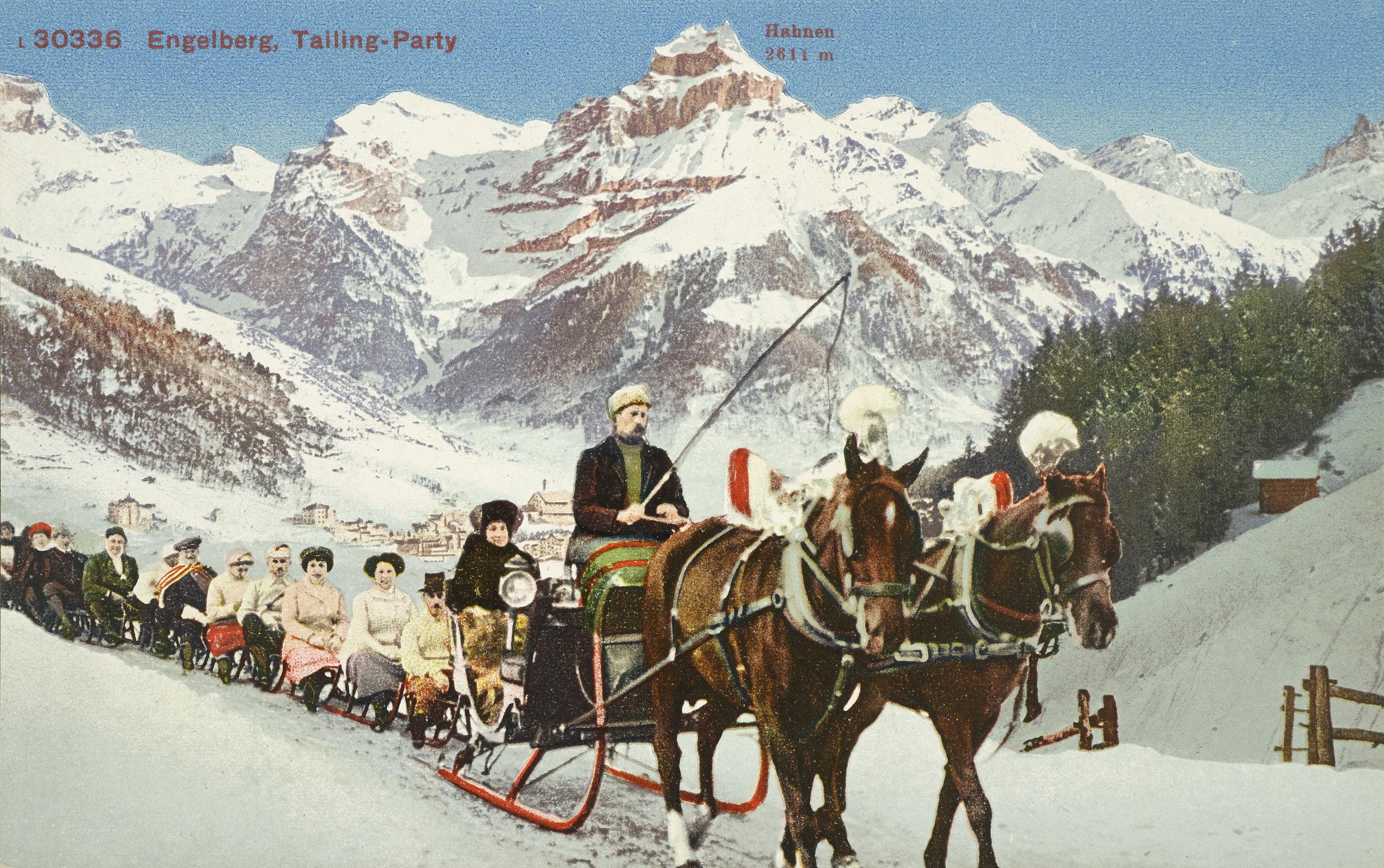horse sleigh and mountains