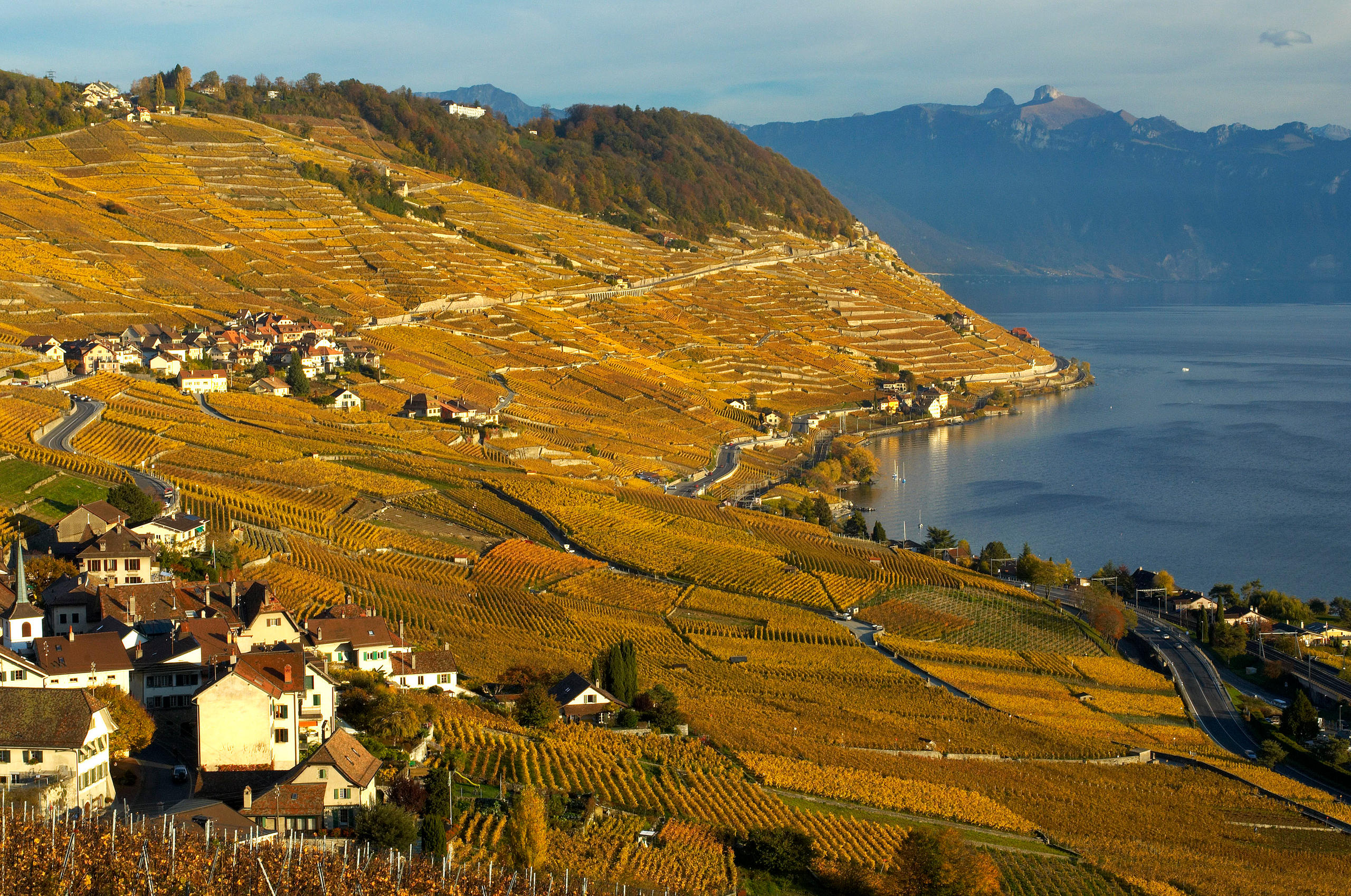 На 800 гектарах террасных виноградников Лаво расположен крупнейший в Швейцарии винодельческий регион (Reuters).