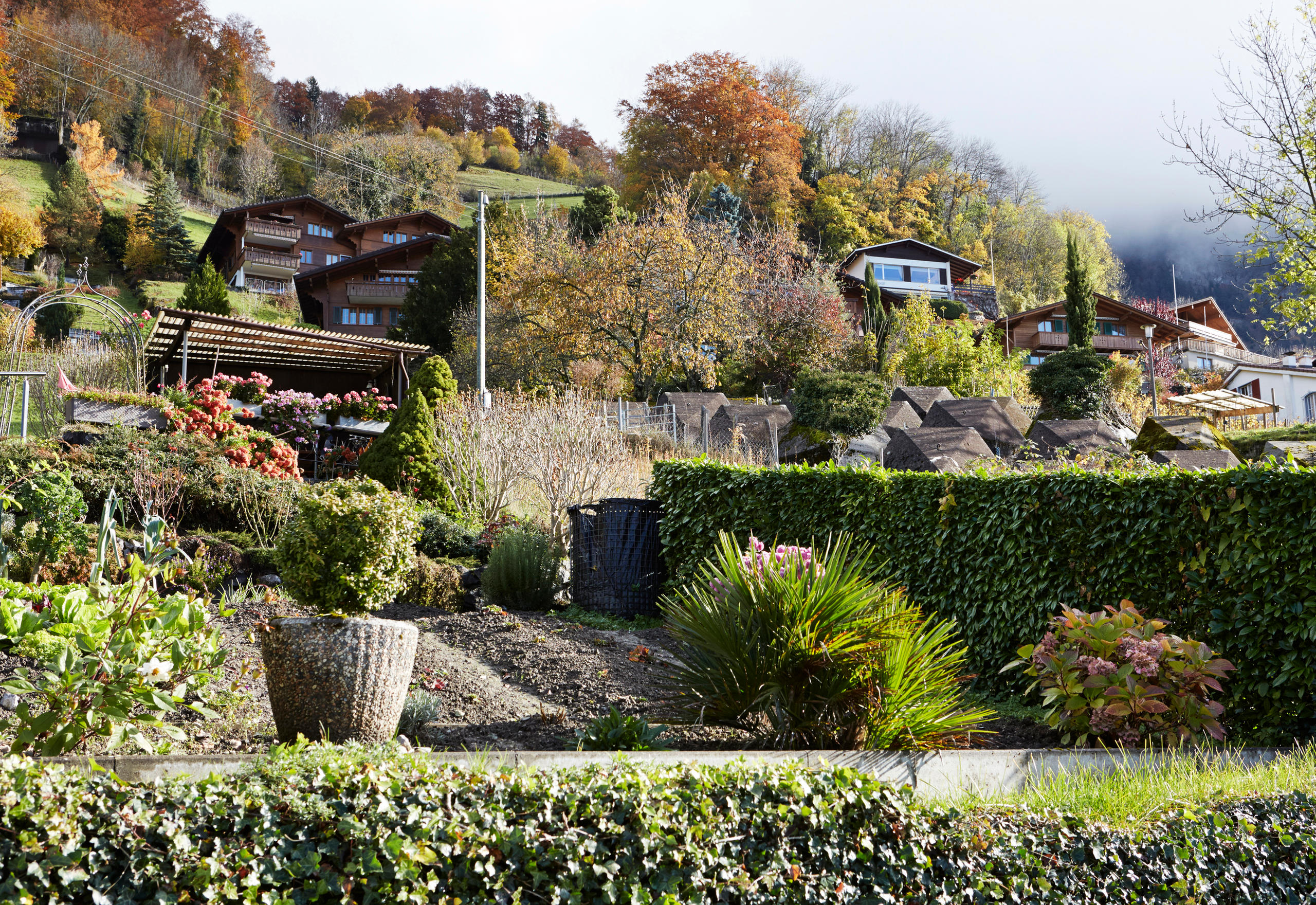 Регион города Майринген (Meiringen), кантон Берн.
