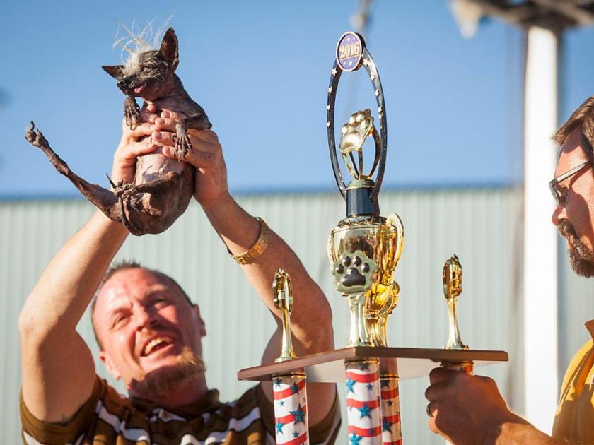 Sweepee Rambo gewinnt Titel als