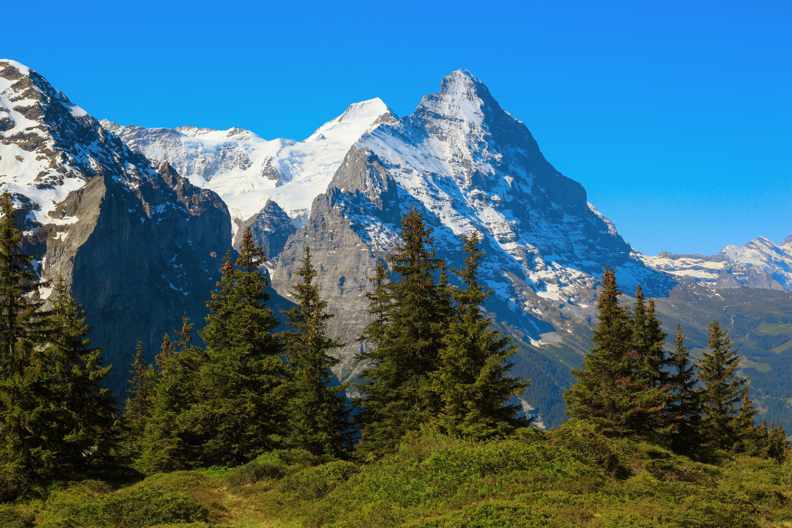 グロッセシャイデックからの絶景。アイガー北東側の山景色