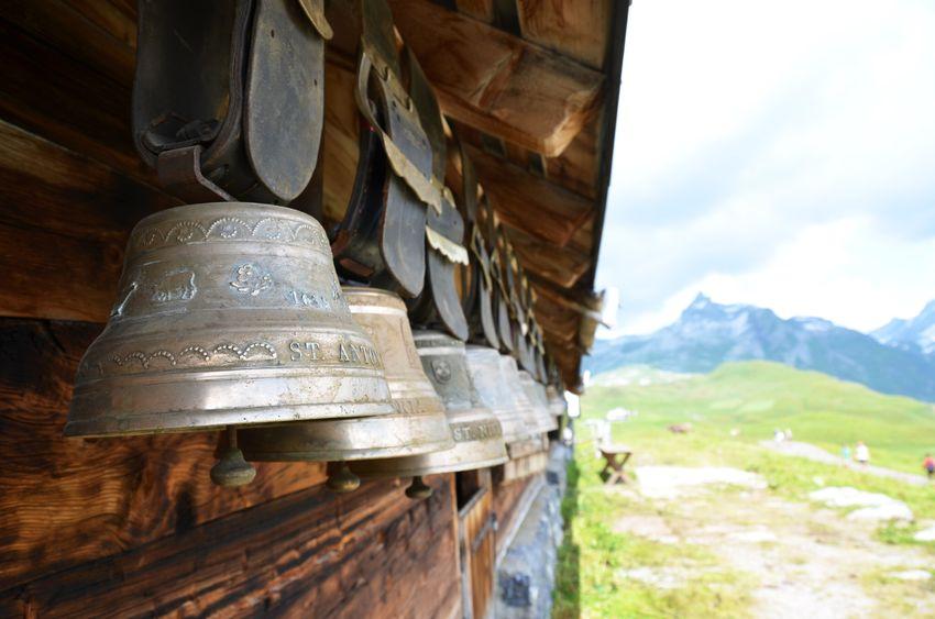 Cow bells hanging on a barn wall