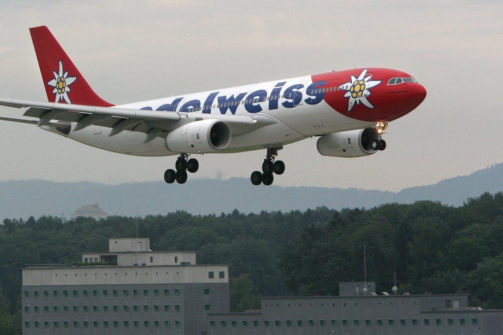 самолет с изображением эдельвейсов на носу и хвосте