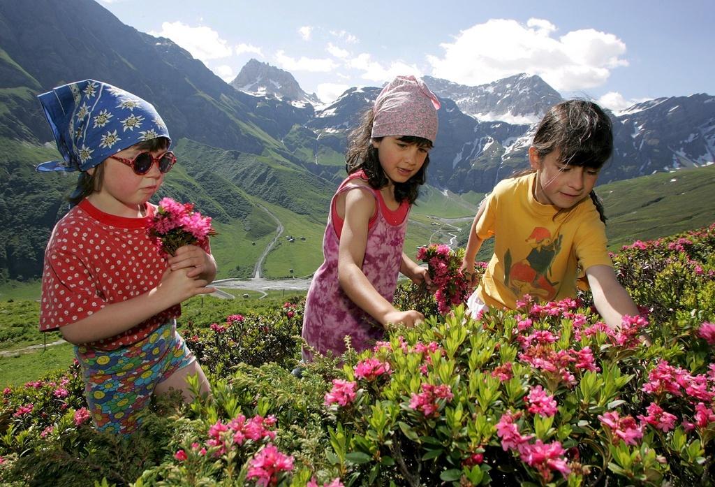 Children picking flowers