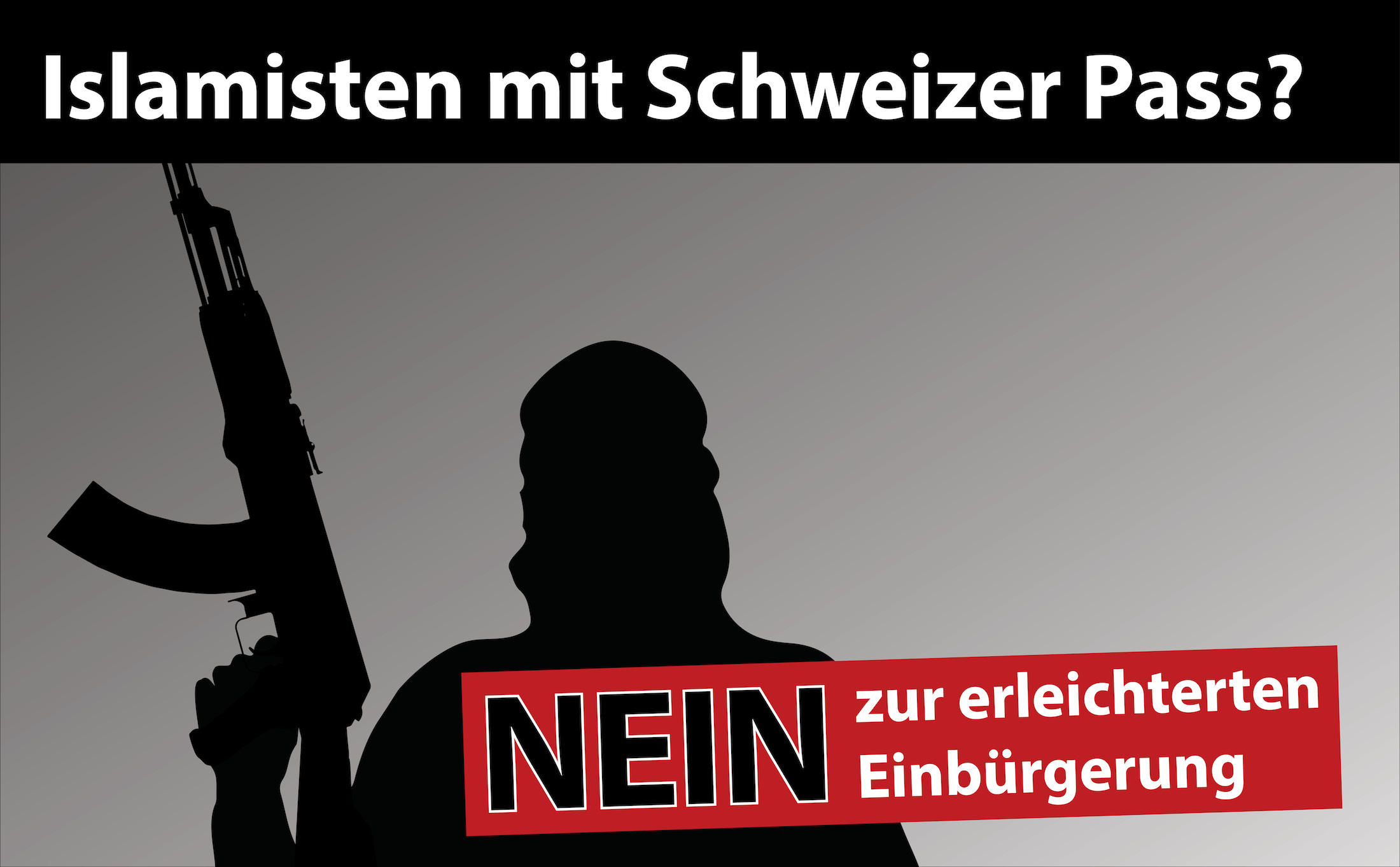 SVP Nein Kampagne