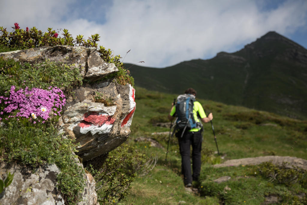 Pedra com sinal pintado em trilha de montanha