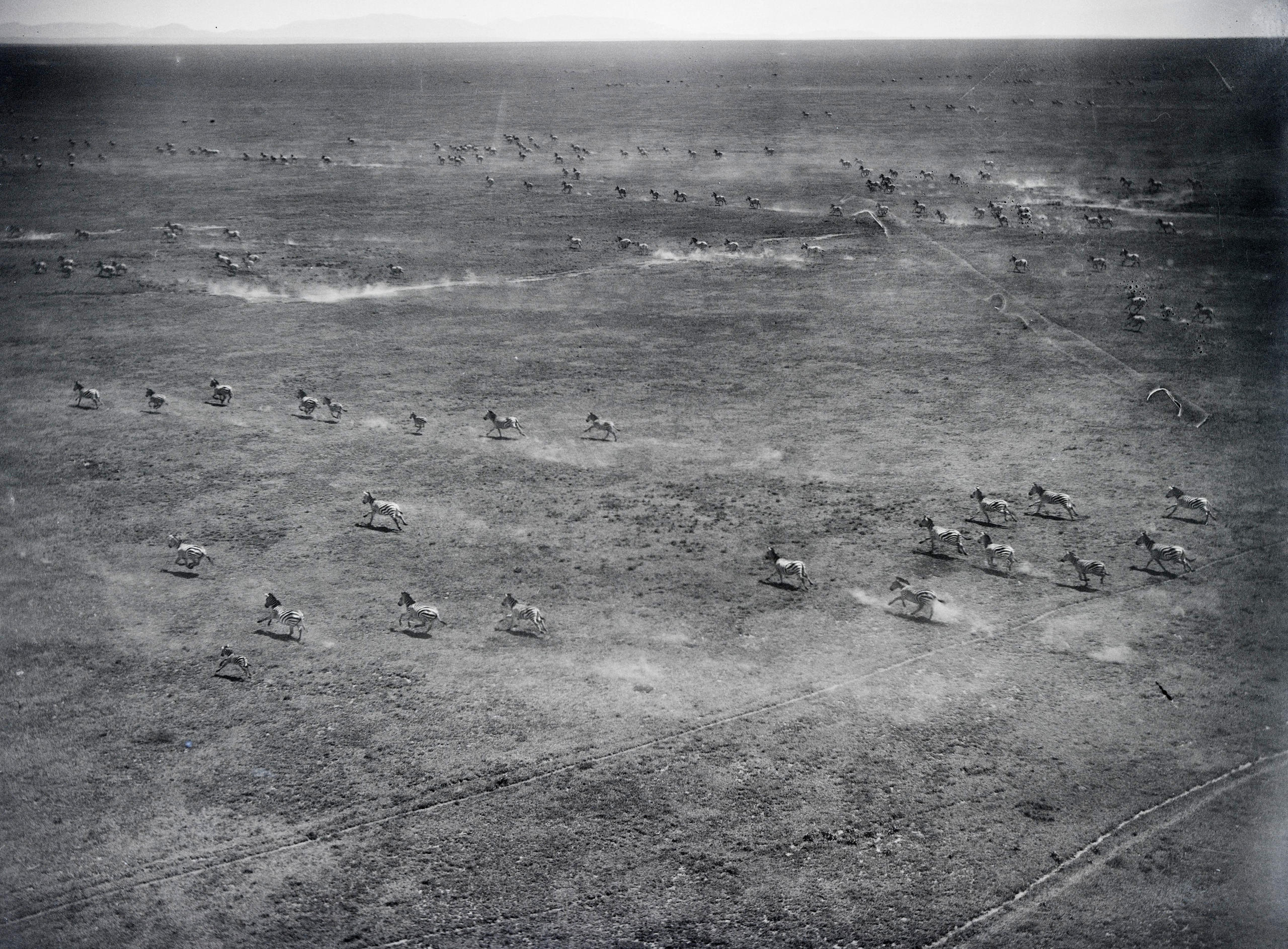 صورة جوية للمراعي الشاسعة في كينيا، 1930.