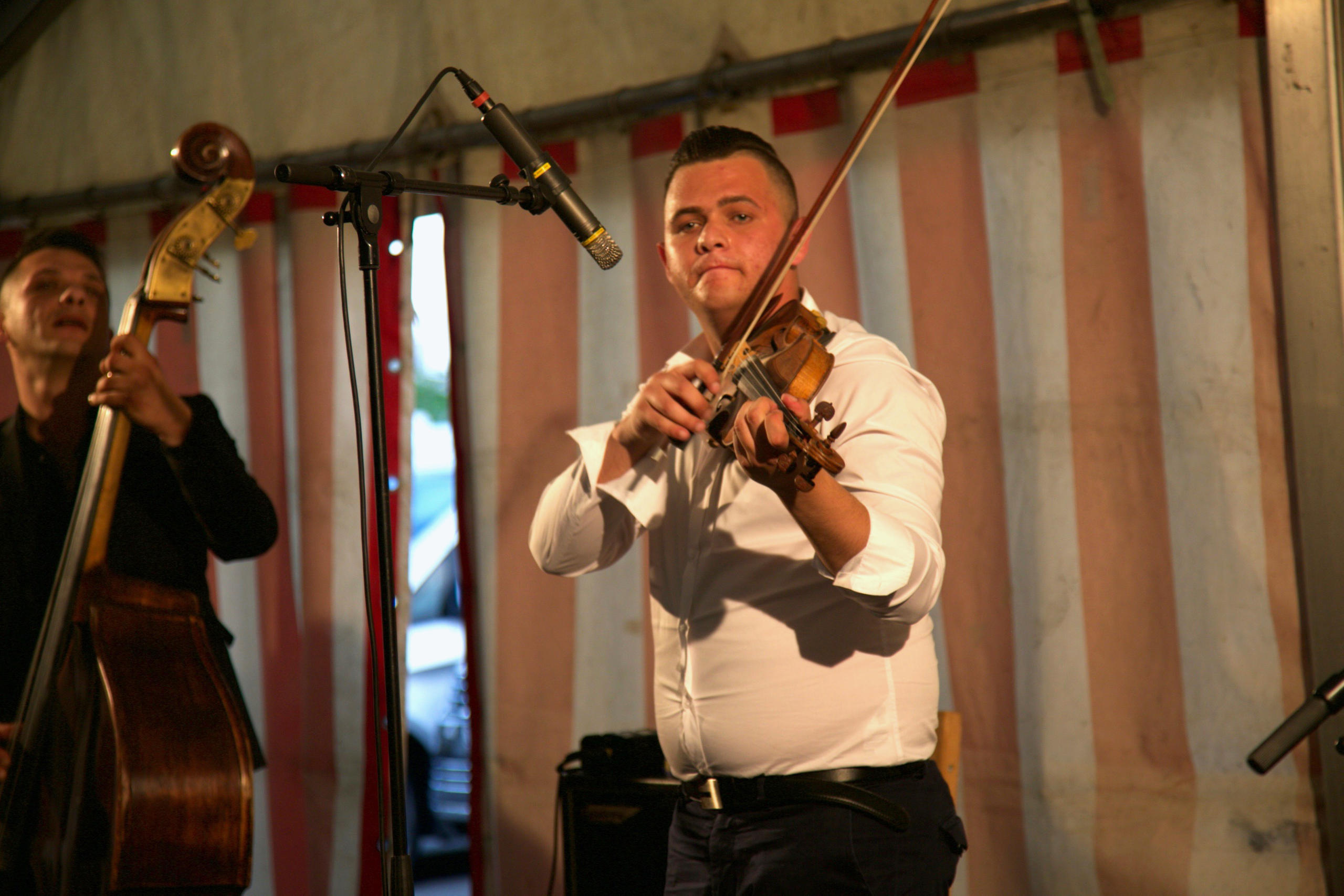 A man playing violin in a party tent, to the left of him a man is playing double bass.
