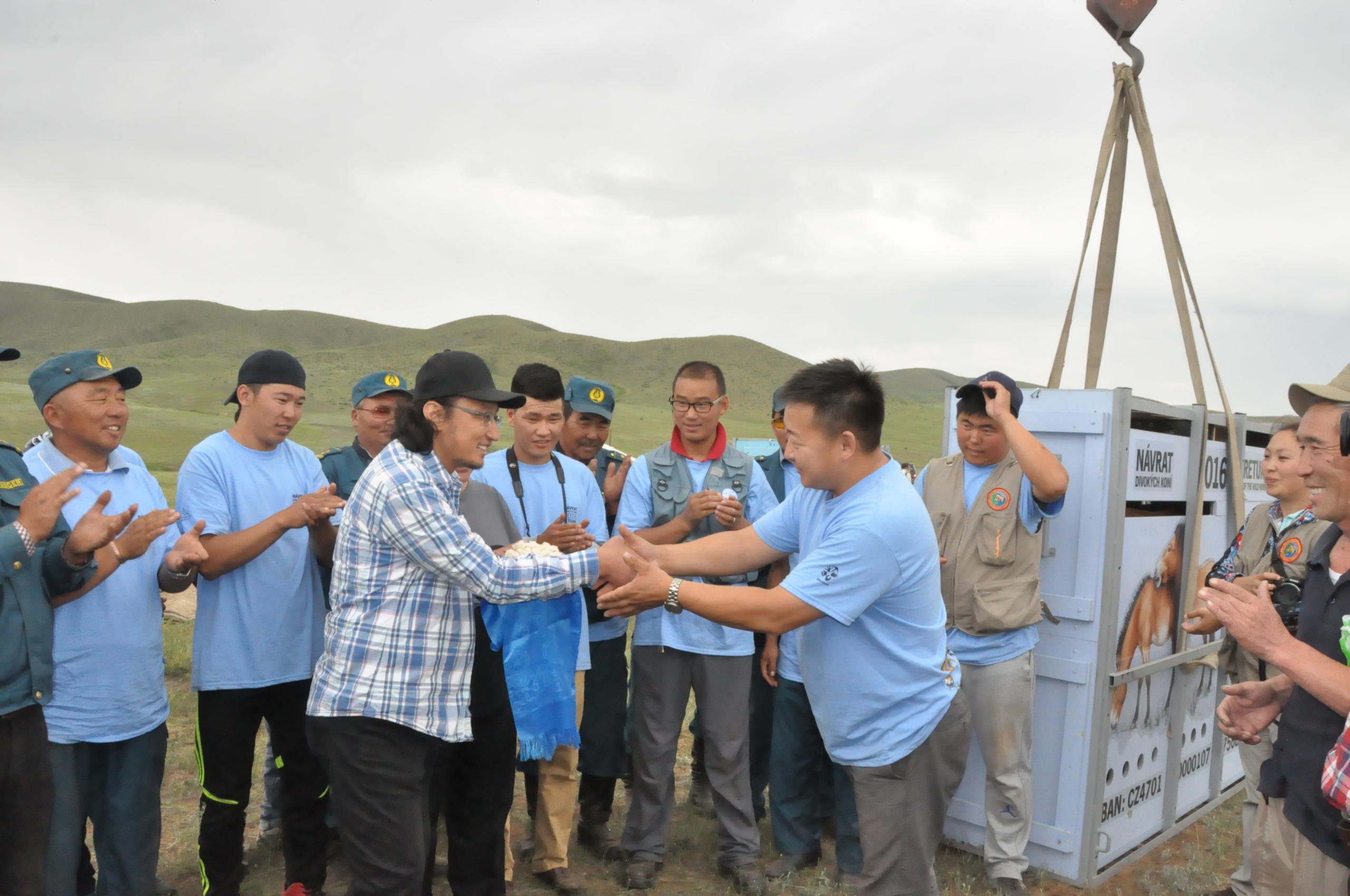 men shakng hands, a horse grate is delivered with a crane