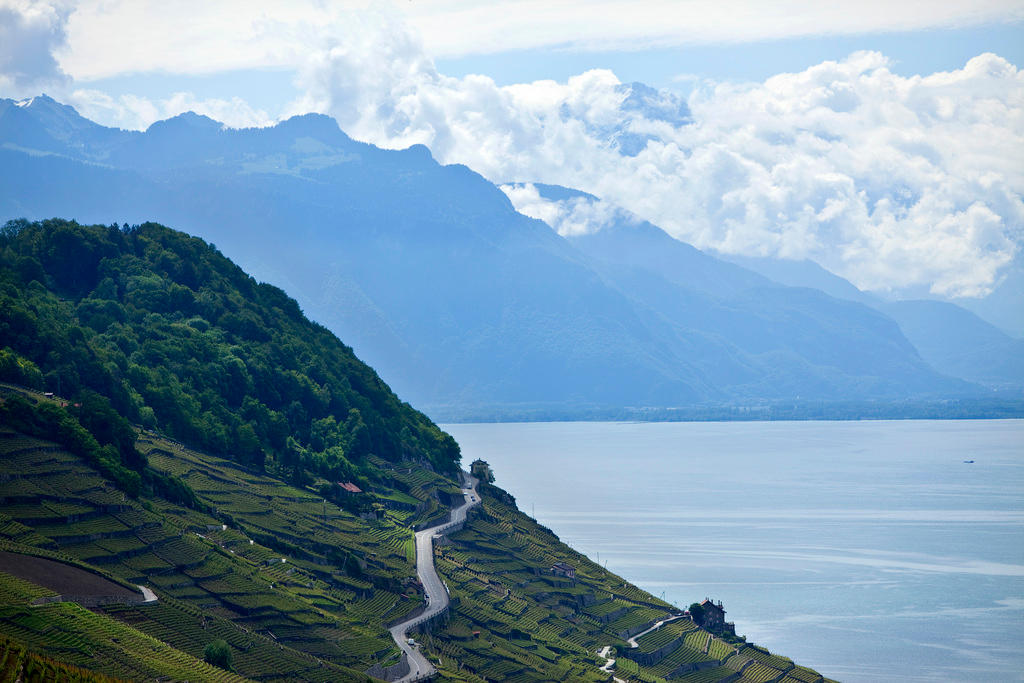 View over the vineyards of Lavaux and Lake Geneva, pictured on May 31, 2010