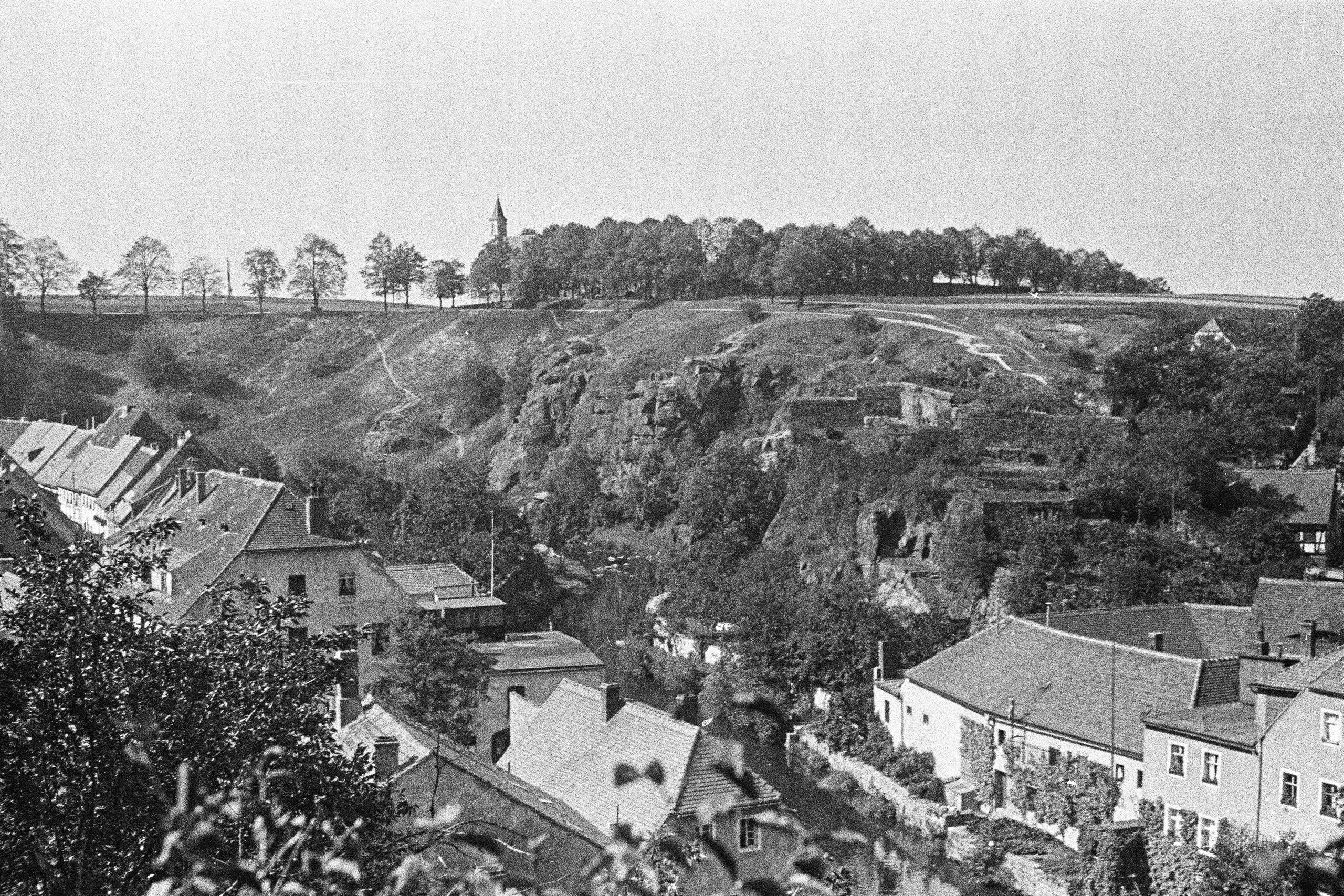 Фотоснимок 1930- годов из творческого наследия братьев Хенкиных