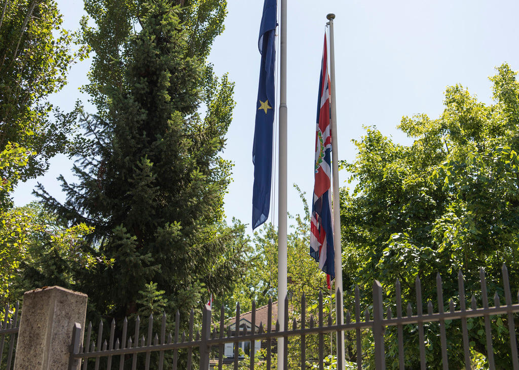 British and EU flags