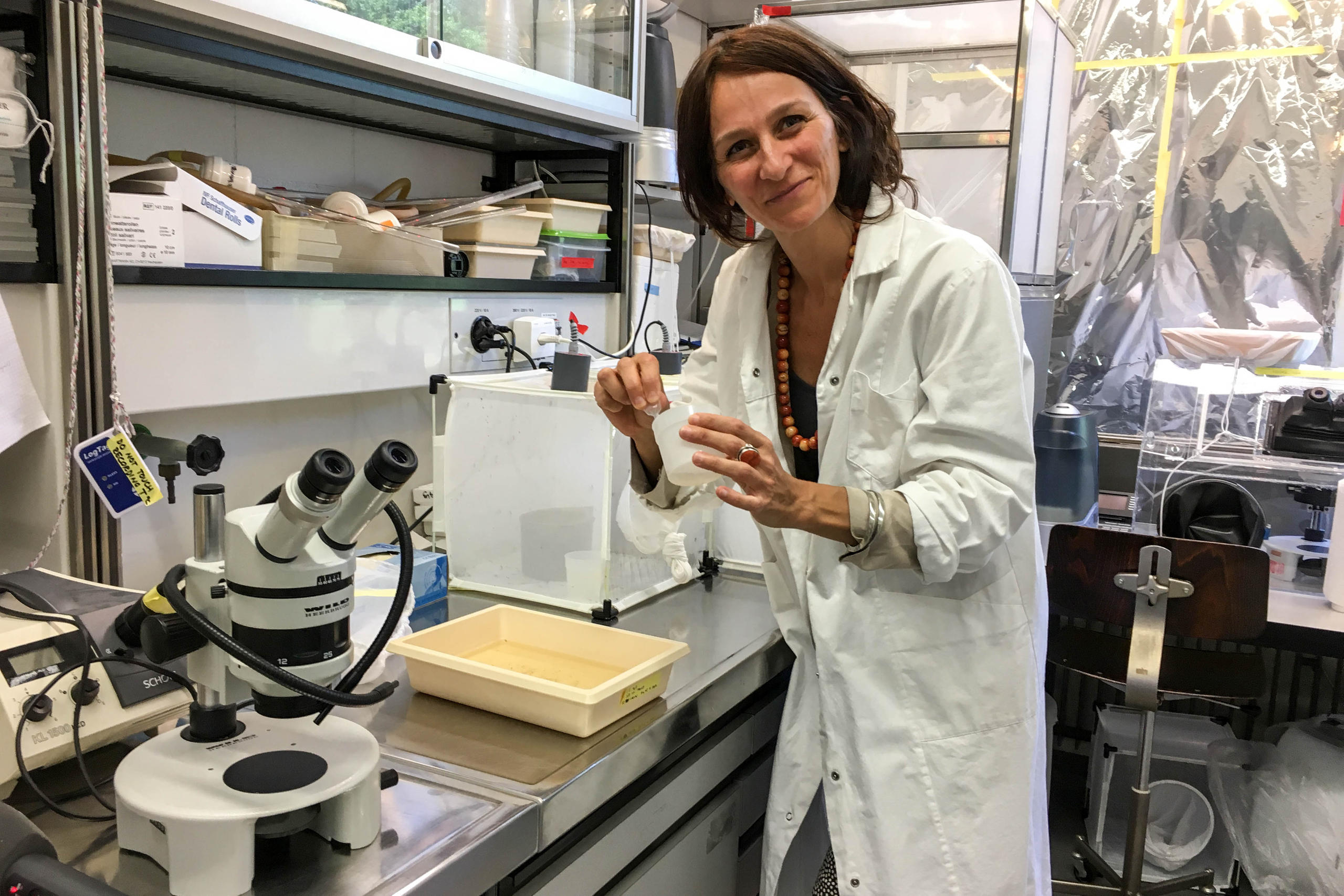 Entomologista Eva Veronesi em seu laboratório da Universidade de Zurique.