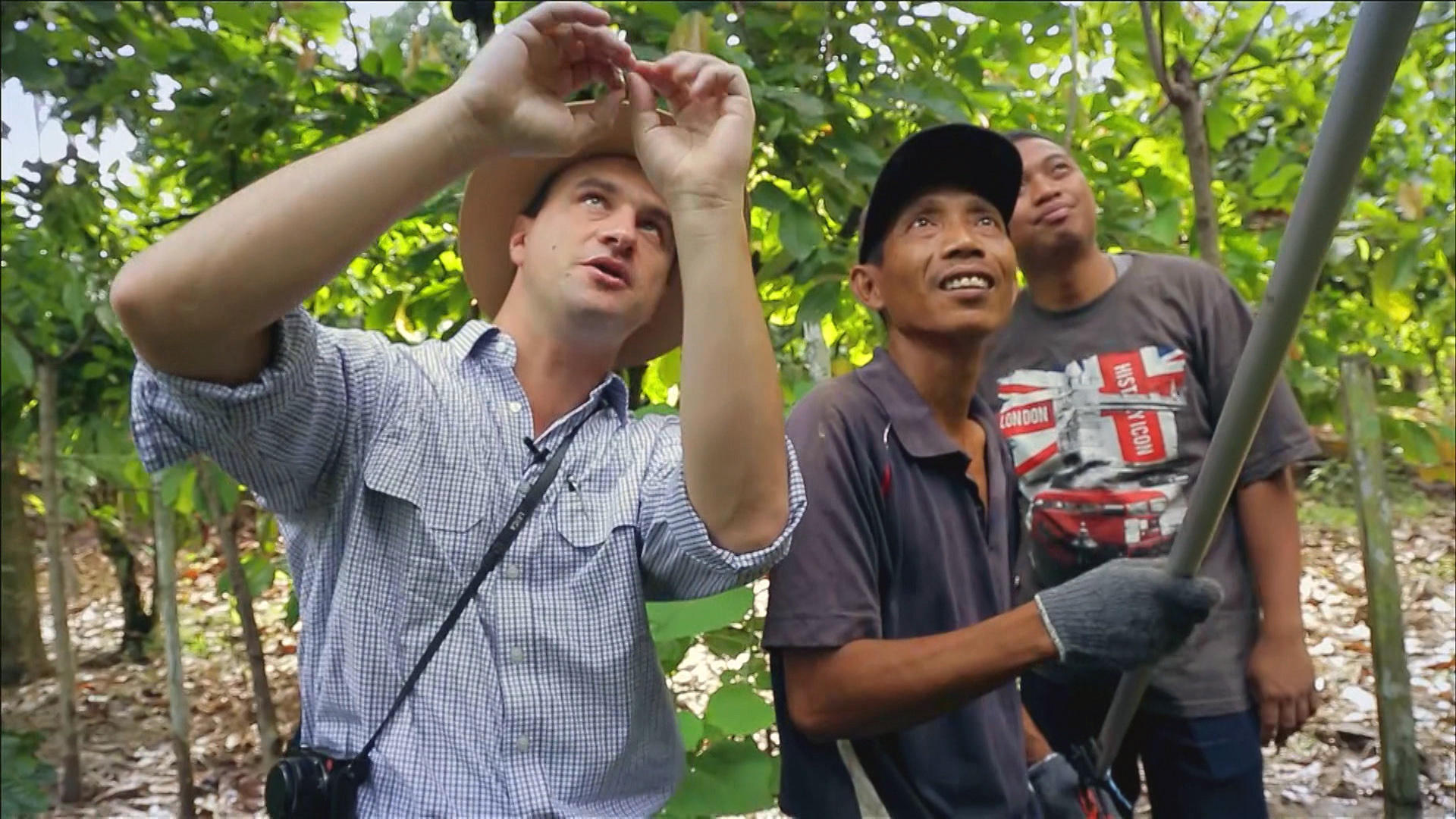 Indonesian cocoa farmers at work