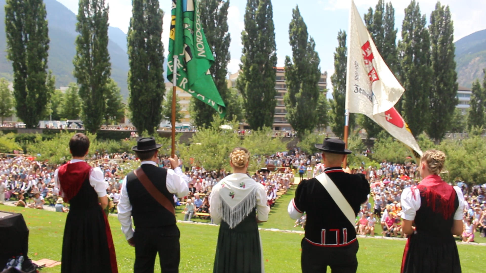 people with flags, backs turned