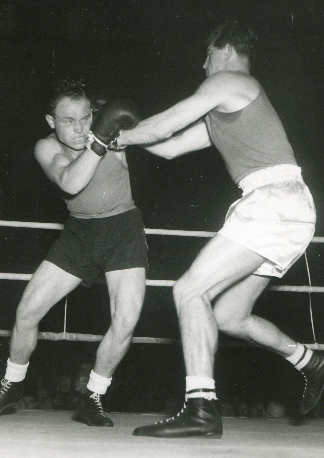 box fight