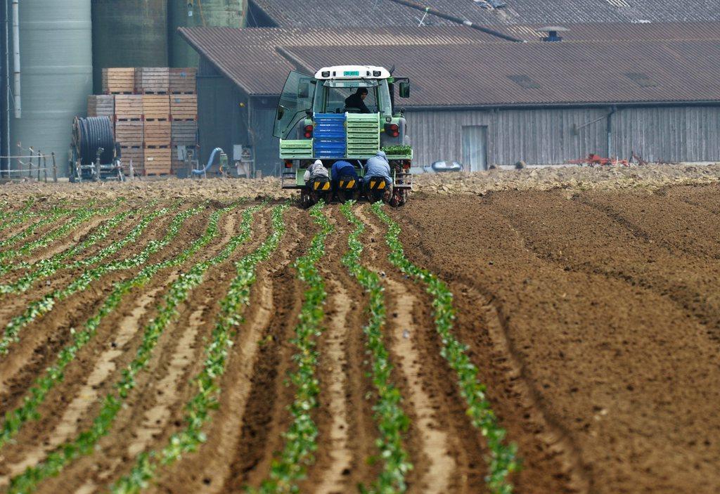 Farmers were found to work the most hours per week